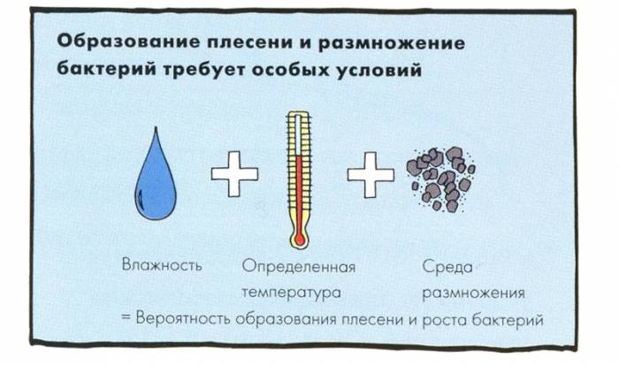 Causes de la moisissure