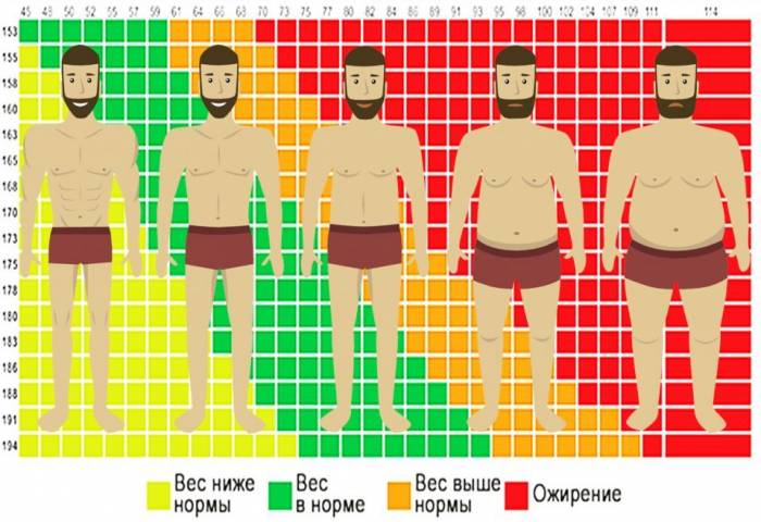 Съотношението на ръст и тегло при мъжете