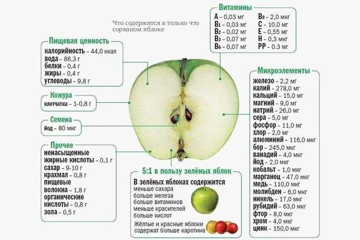 Tính chất hữu ích của táo