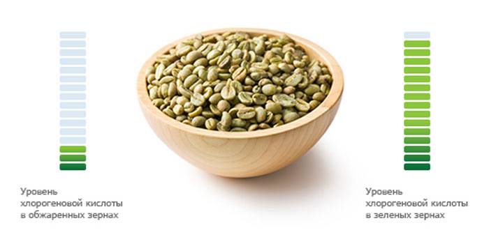 La teneur en acide chlorogénique dans les grains de café