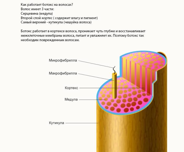 Како Боток делује на косу