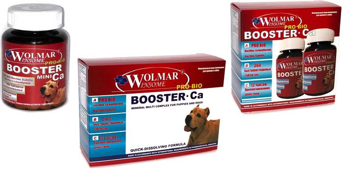Booster Ca kirjoittanut Wolmar