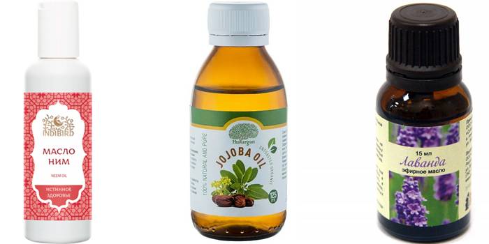 Jojoba, Lavendel und er