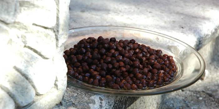 Turkish peas in a plate