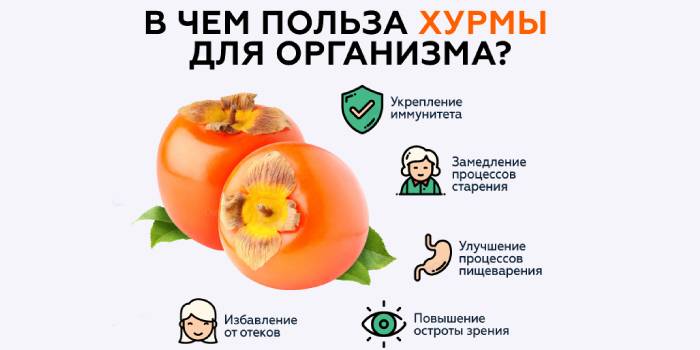 Propiedades útiles de los caquis para el cuerpo.