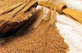 I benefici e i danni del farro