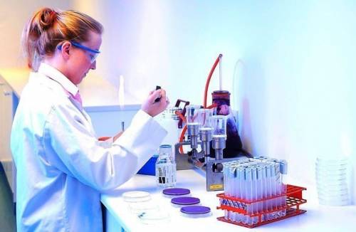 Blastocysts trong phân ở người lớn