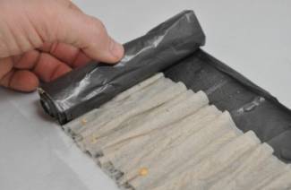 Cultiver des plants sur du papier toilette