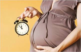 Precursori di riproduzione
