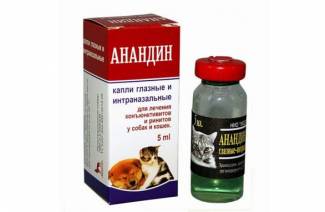 Anandiini kissoille
