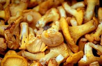 Comment mariner les champignons