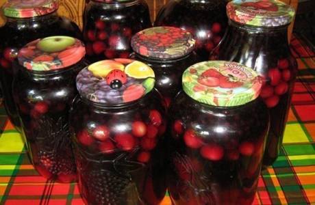 Компот од шљива за зиму