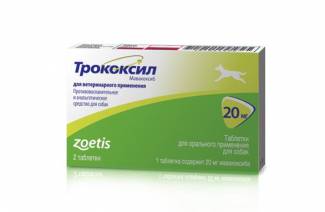 Trokoksyyli koirille