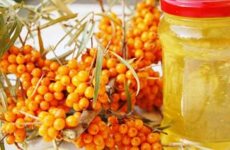 คุณสมบัติการรักษาของน้ำมันทะเล buckthorn