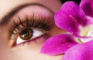 Extensions de cils 3D