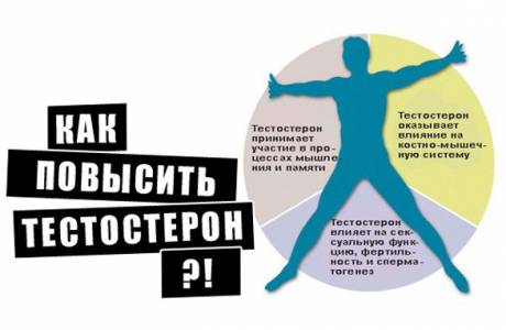 Kā palielināt testosteronu vīriešiem