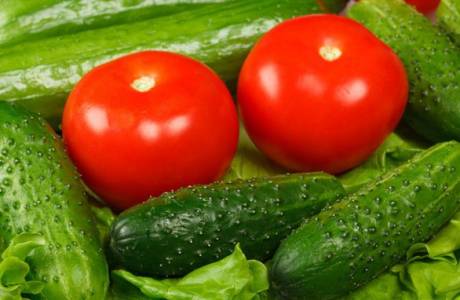 Trichopolum للخيار والطماطم
