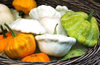 Comment choisir la courge
