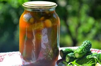 Concombres Chili pour l'hiver