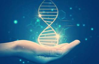 DNA คืออะไร