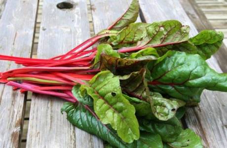 Chard là gì