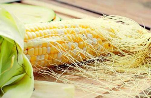 Како узимати кукурузне стигме за жучни мехур