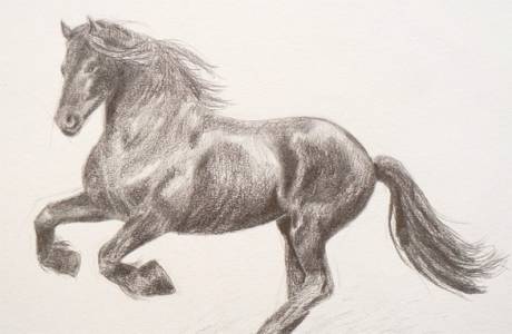 วิธีการวาดม้าด้วยดินสอเป็นขั้นตอน