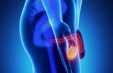 Xe tải tuyến tiền liệt
