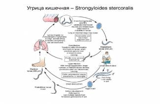 Enteric Acne