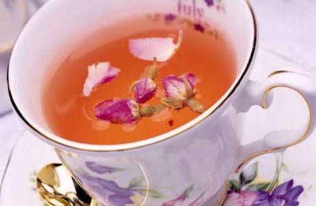 Tính chất hữu ích và chống chỉ định của trà Ivan