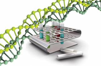 تحليل PCR