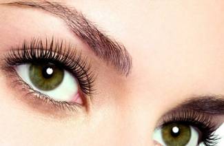 Vaseline pour les cils et les sourcils
