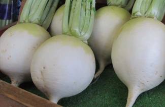 Cosa è utile per il ravanello