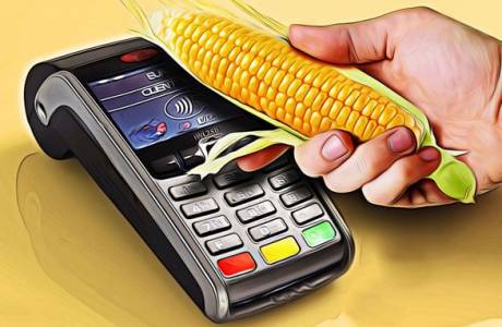 Card de credit porumb
