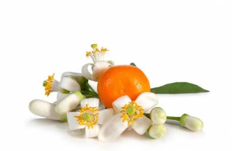 Useful properties of neroli oil