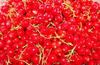 แยม Redcurrant 5 นาที