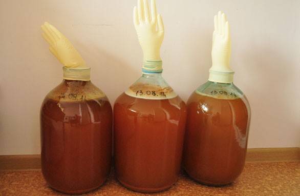Comment faire du vin maison