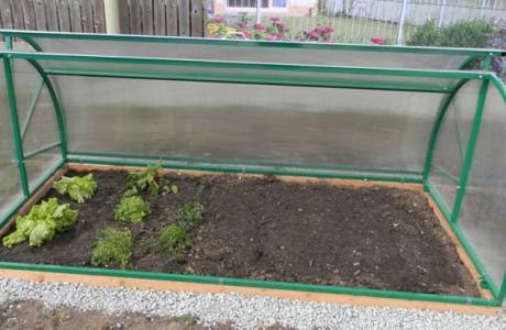 Greenhouse bread box