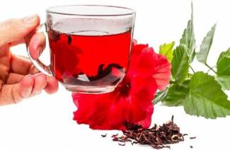 Karkade hạ hoặc tăng huyết áp
