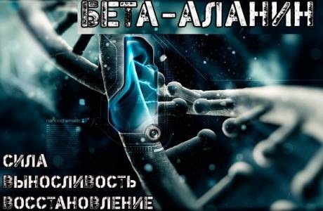 Beta alanina