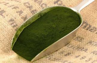 Naudingos spirulinos savybės ir kontraindikacijos