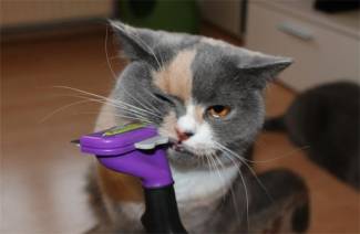 Furminator pentru pisici