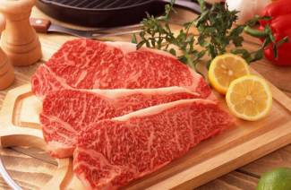 Dieta de carne