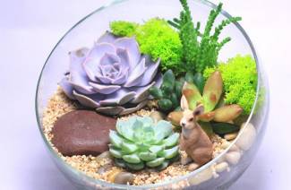 Florarium