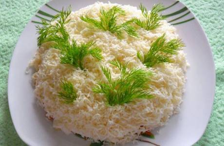 Insalata Tenera