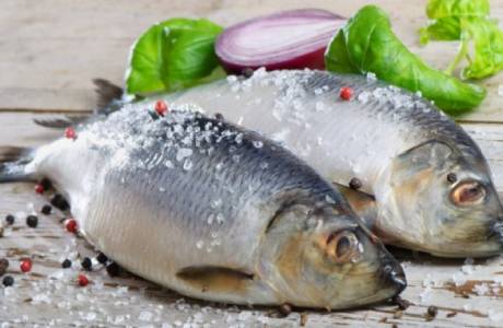 Salting av fisk hjemme