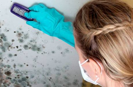 Comment enlever un champignon dans un bain