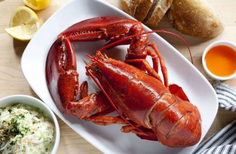 Que sont les homards