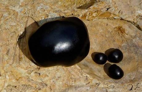 Συνταγές μάσκας μάσκα μαλλιών
