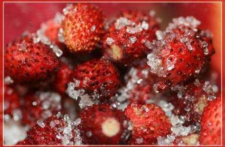Fraises au sucre pour l'hiver sans cuisson